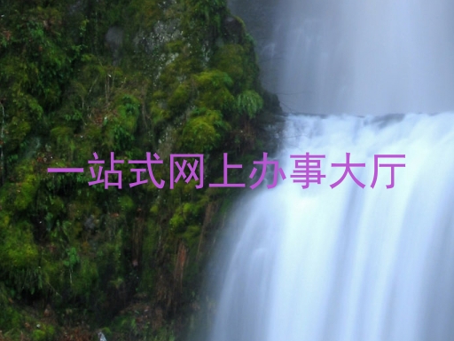 一站式网上办事大厅