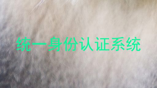 统一身份认证系统