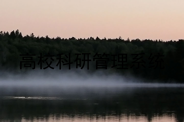 高校科研管理系统