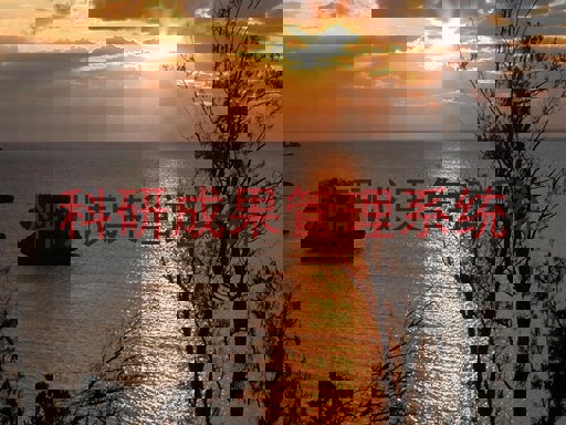 科研成果管理系统