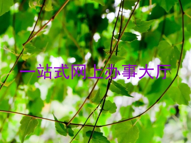 一站式网上办事大厅