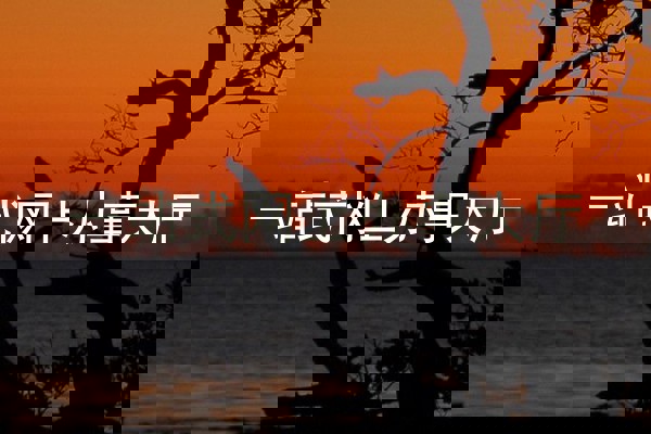 一站式网上办事大厅