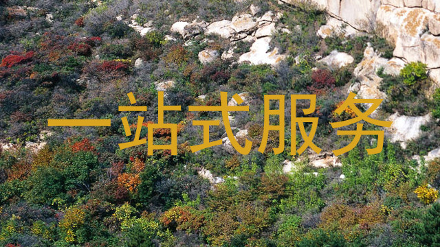 一站式服务