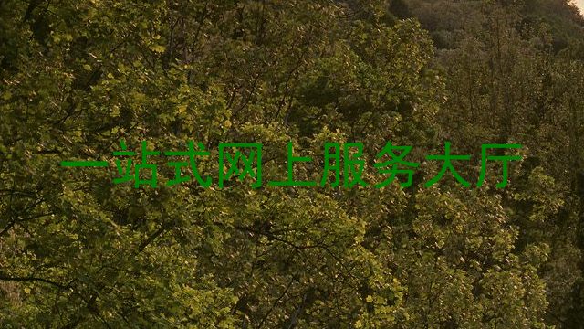 一站式网上服务大厅