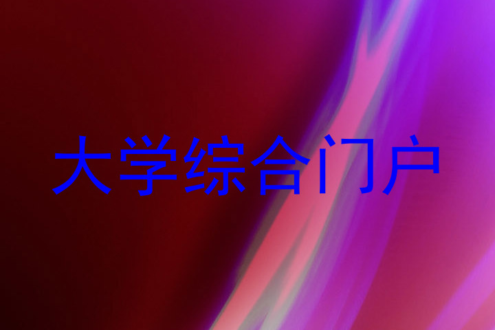 大学综合门户