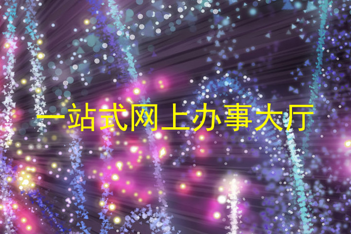 一站式网上办事大厅