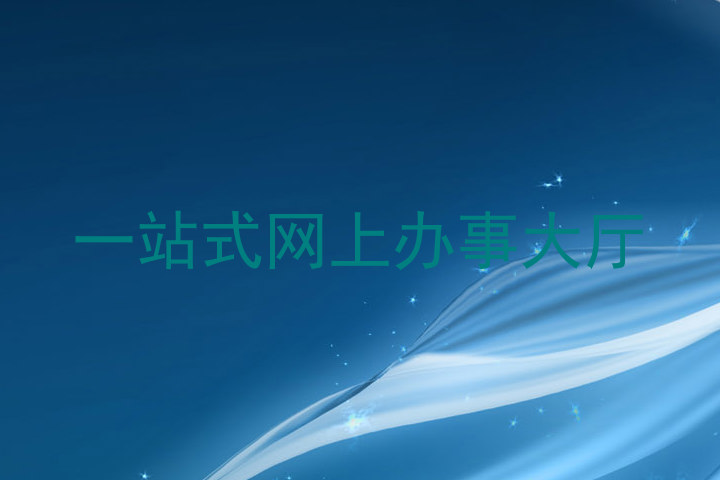 一站式网上办事大厅