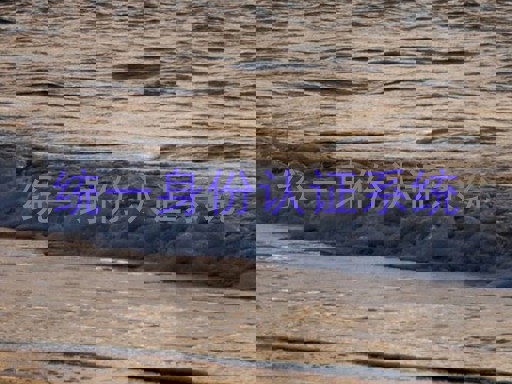 统一身份认证系统