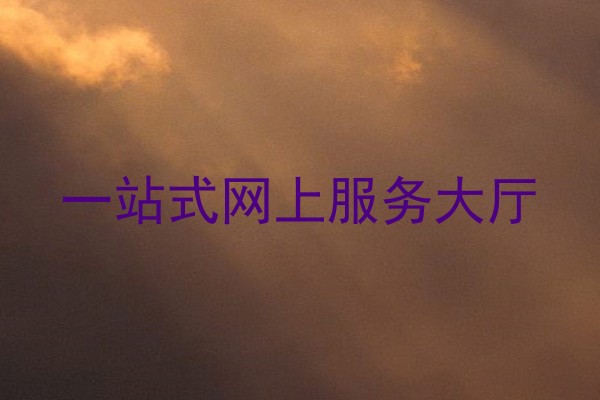 一站式网上服务大厅