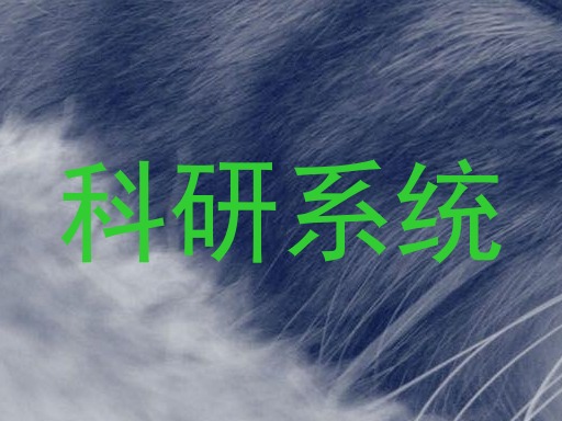 科研系统