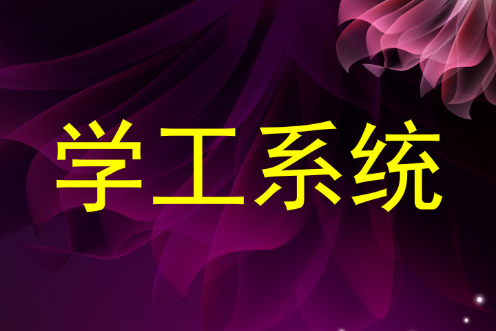 学工系统