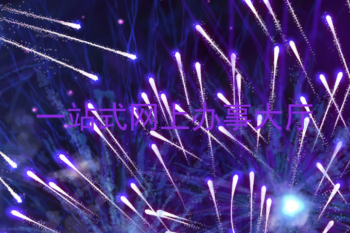 一站式网上办事大厅