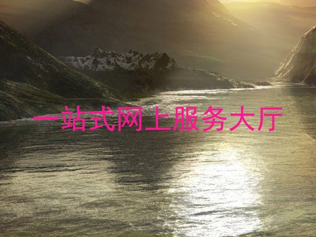 一站式网上服务大厅