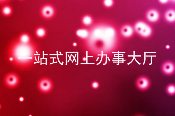 一站式网上办事大厅