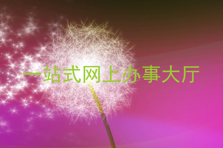 一站式网上办事大厅