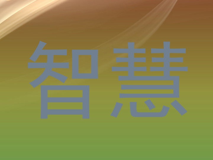 智慧