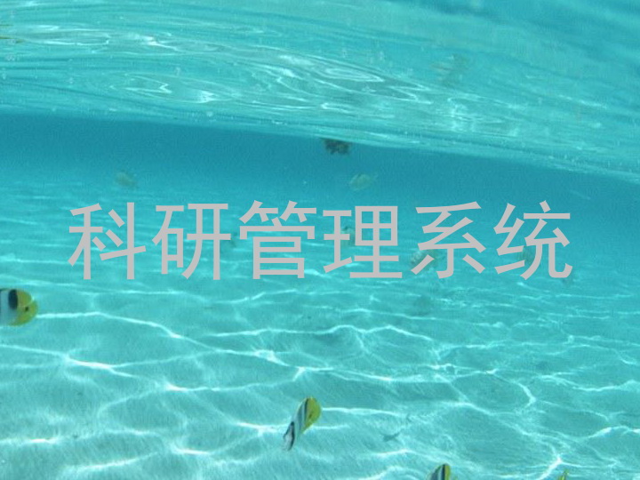 科研管理系统