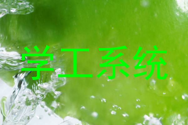 学工系统