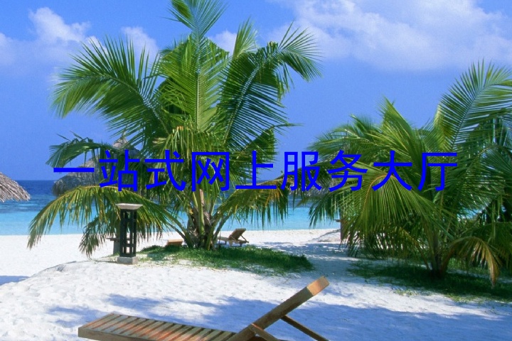 一站式网上服务大厅