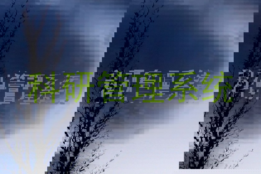 科研管理系统