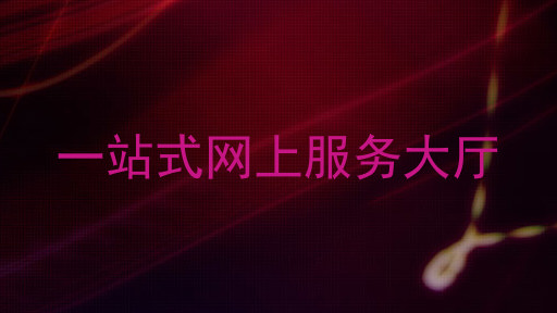 一站式网上服务大厅