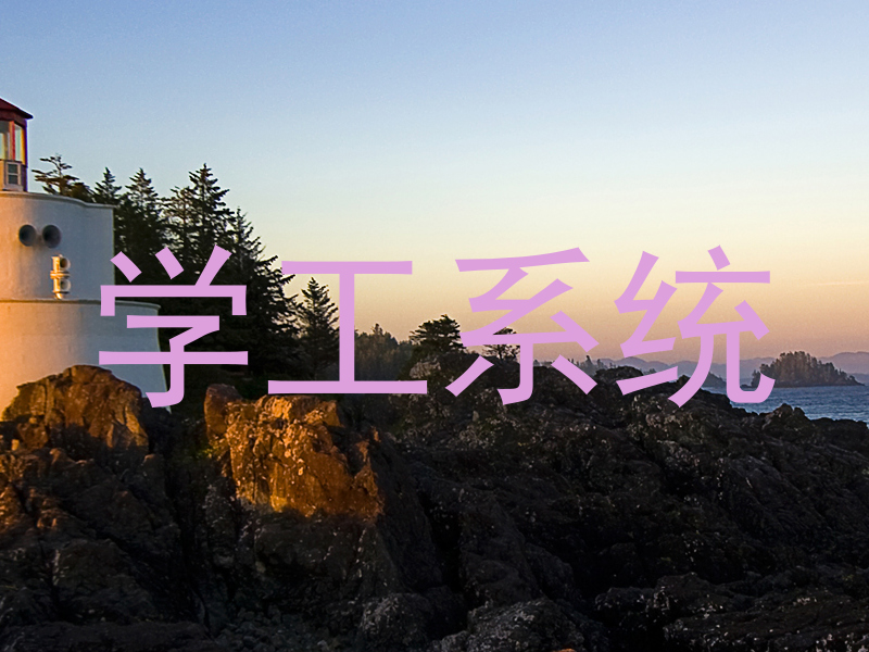 学工系统