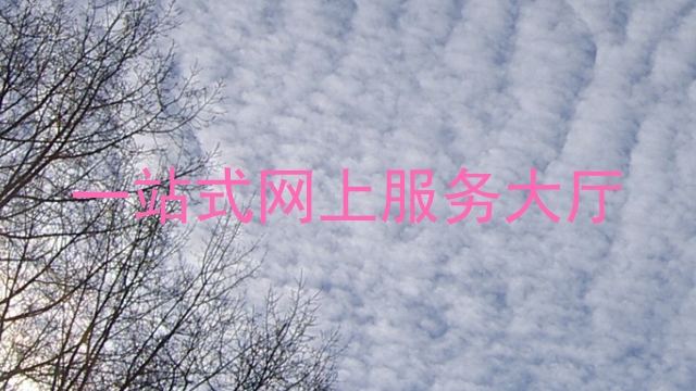 一站式网上服务大厅