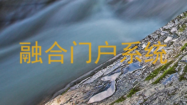 融合门户系统