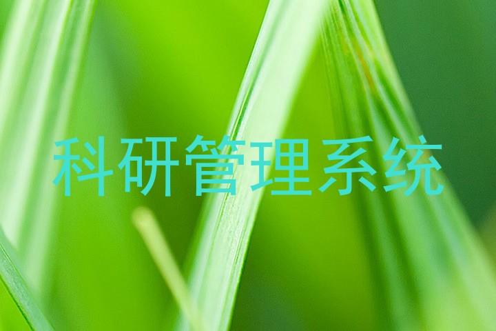 科研管理系统
