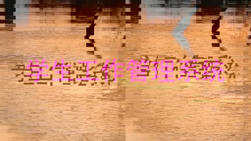 学生工作管理系统