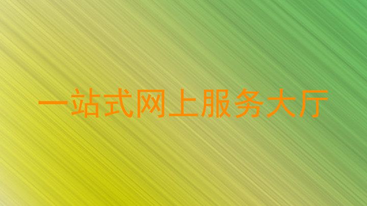 一站式网上服务大厅