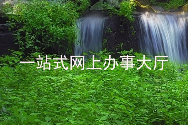 一站式网上办事大厅