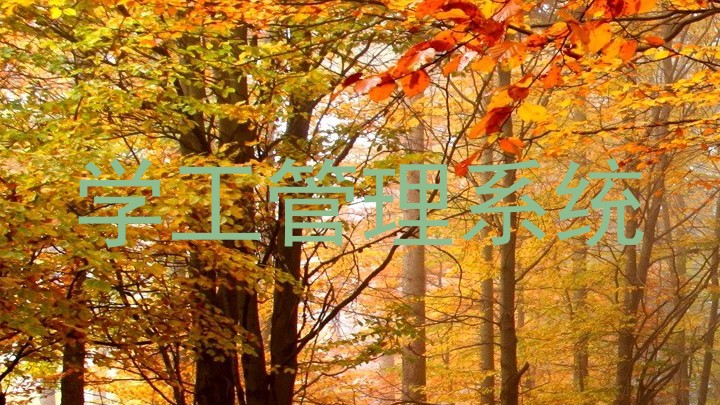 学工管理系统