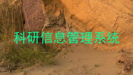 科研信息管理系统