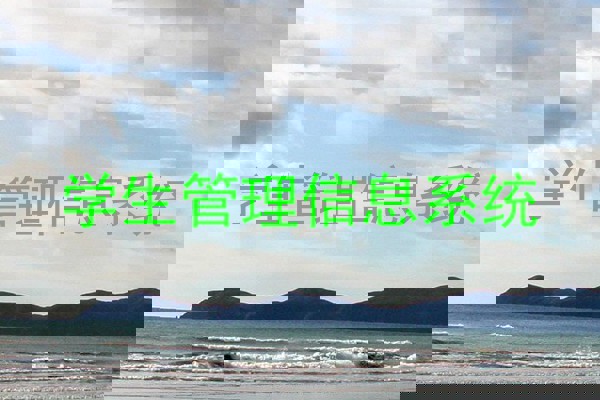 学生管理信息系统