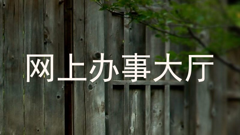 网上办事大厅