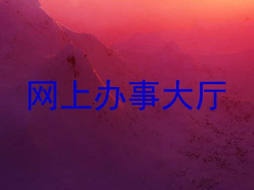 网上办事大厅