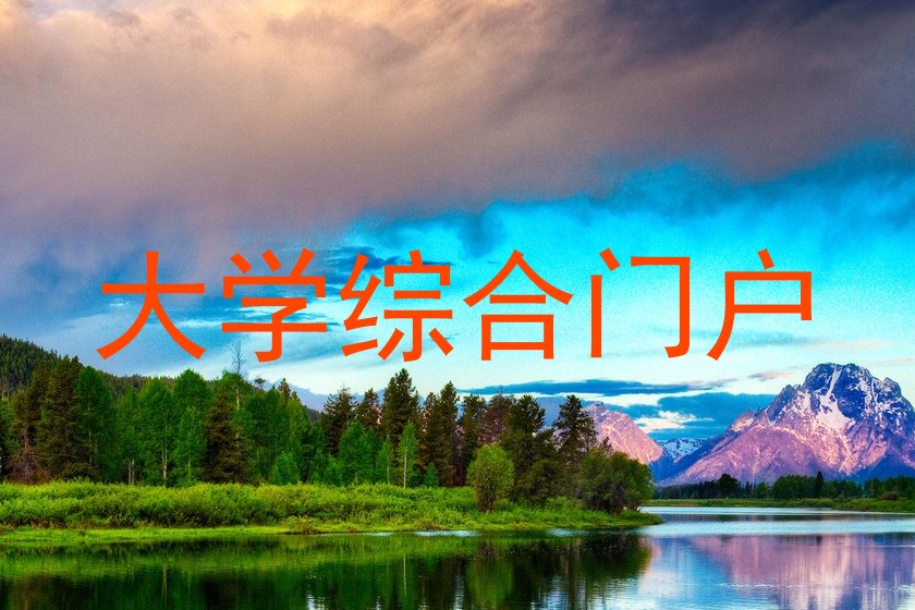 大学综合门户