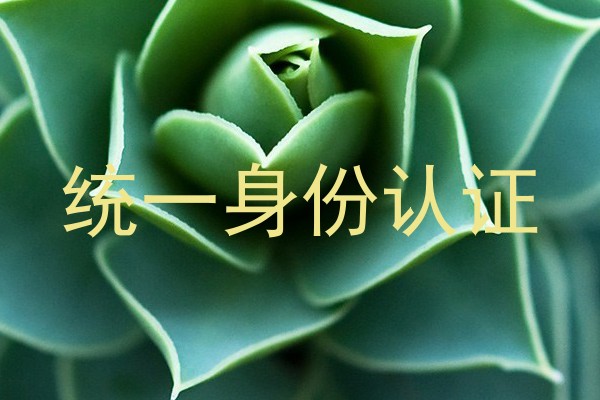 统一身份认证