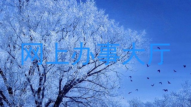 网上办事大厅