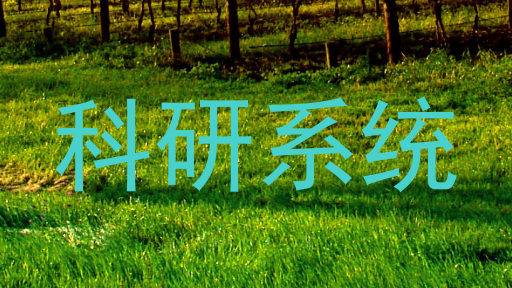 科研系统