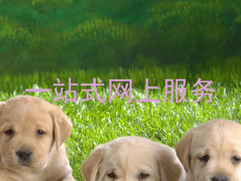 一站式网上服务