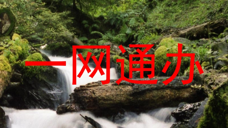 一网通办