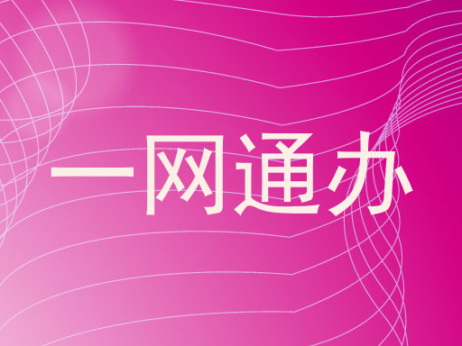 一网通办