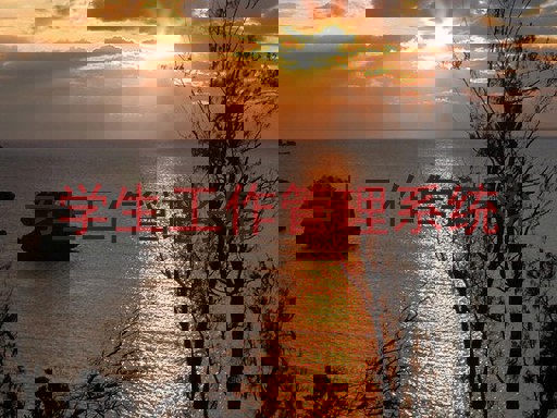 学生工作管理系统