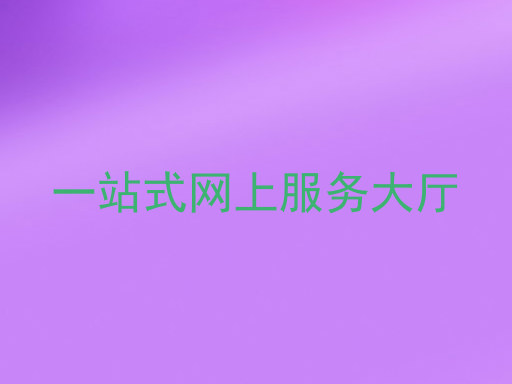 一站式网上服务大厅