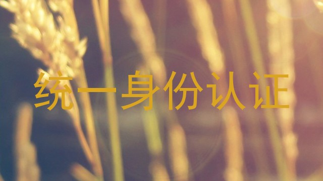 统一身份认证