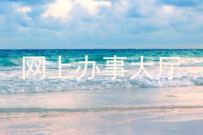 网上办事大厅