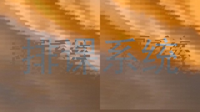 排课系统