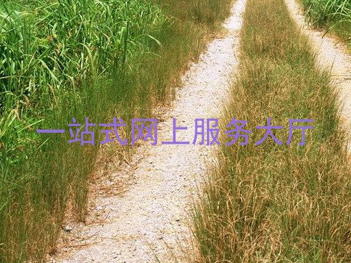 一站式网上服务大厅